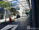 2026-03-06 专业分析